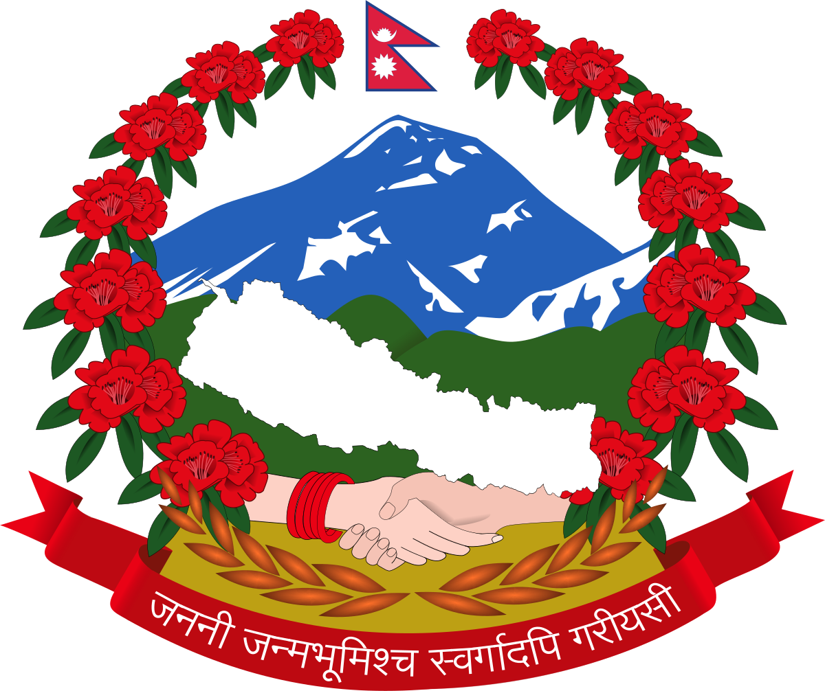 Information Technology and Digital Governance Office